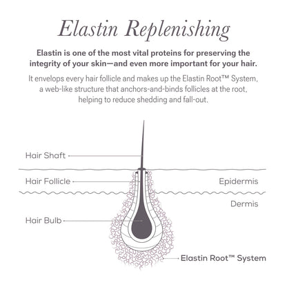 NULASTIN LASH Follicle Fortifying Serum